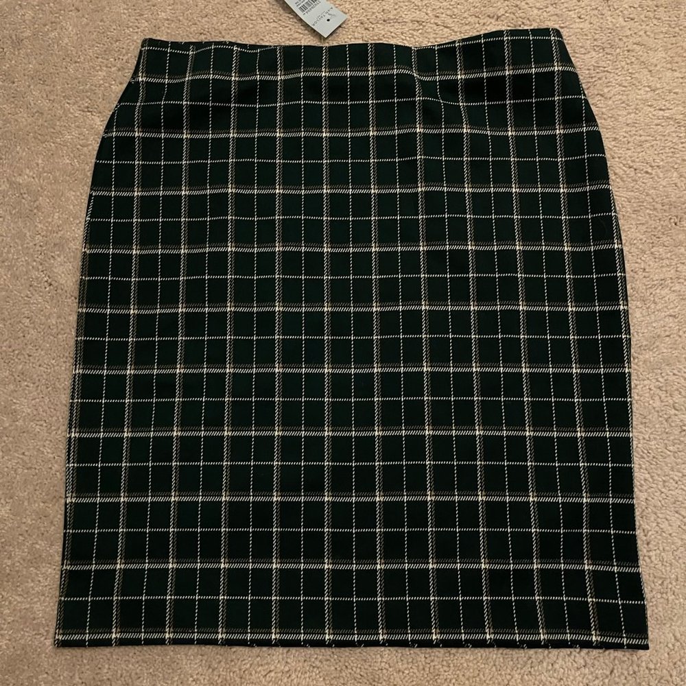 NWT Ann Taylor skirt